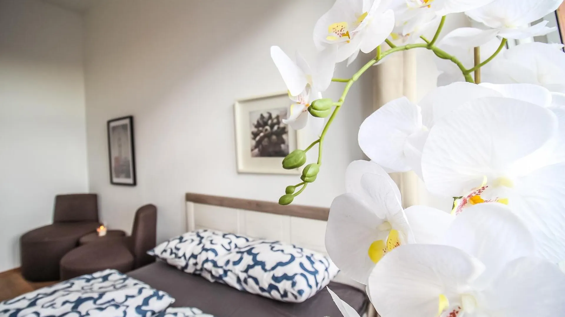 Disc Cozy Rooms In Liesing Wenen 0*,