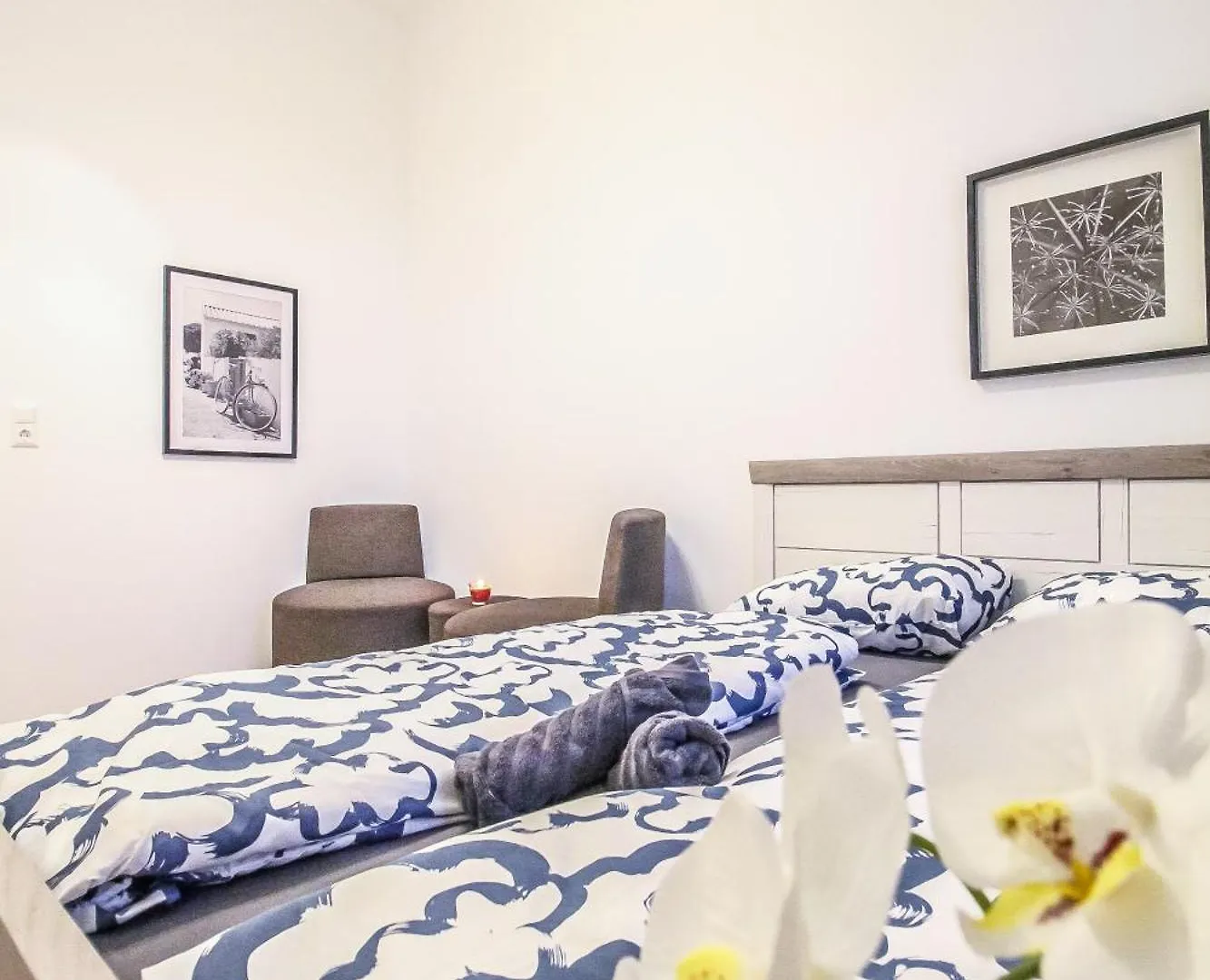 Ubytování v soukromí Disc Cozy Rooms In Liesing Vídeň Rakousko