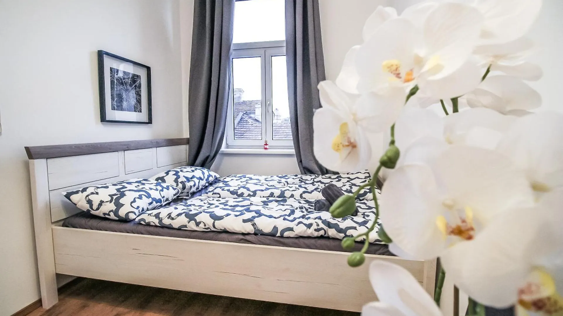 Ubytování v soukromí Disc Cozy Rooms In Liesing Vídeň Rakousko